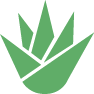 Logo of the aloe plant the medicine plant